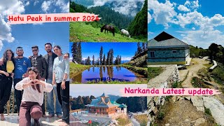 Narkanda most beautiful place near shimla  Hatu Peak Narkanda  shimla best place to visit [upl. by Iew]