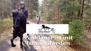 Waldausritt mit Islandpferden  das Beste was man am Sonntag machen kann [upl. by Ydoj93]