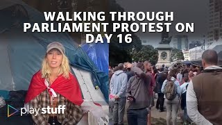 Wellington protest Walking through Parliament grounds on day 16  Stuffconz [upl. by Htidirem635]