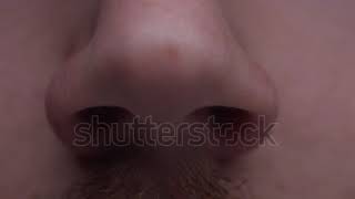 stockfootageextrememacrocloseupshotofmalenosesniffinga 👃 [upl. by Tine256]