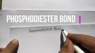 Phosphodiester Bond LectureUrdu Botany III for BS Zoology Botany Chemistry [upl. by Troc]