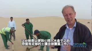 Chinese subtitles Groasis anti desertification instruction film in Dubai to plant trees in deserts [upl. by Leuqer]