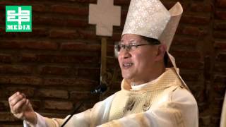 Homily of Cardinal Tagle during the Canonical Coronation of Nuestra Señora del Pilar [upl. by Coward309]