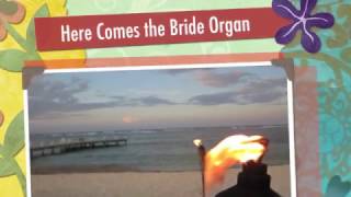 Here Comes the Bride Organ [upl. by Anisamot]