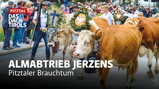 Traditioneller Almabtrieb Jerzens [upl. by Prima]