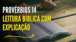 Provérbios 14  Leitura Bíblica com Explicação [upl. by Nivlek748]