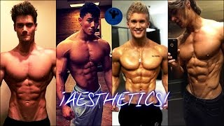 ¡AESTHETICS  Fitness Motivation [upl. by Yajet]