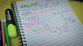 Southern BlottingGenetics 🧬BiochemistryLippincott [upl. by Nilyarg]