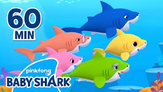 Baby Shark Doo Doo Doo 1 hour  Compilation  Songs for Kids  Baby Shark Official [upl. by Memberg814]