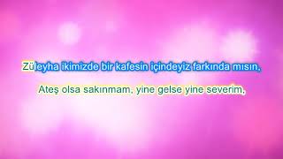 Karaoke Şiir  Hatirimda Sen Kaldin  Ozan Manas [upl. by Cohlette921]