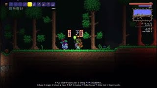 Is this the best glitch in terraria [upl. by Rebma]