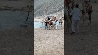 Önce korktumegypt safari shortsvideo travel safaritour shortvideo gezi keşfet vlognature [upl. by Eimam641]