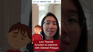 Symptoms Of Adrenal Fatigue Or Hypothyroidism [upl. by Eneluj]