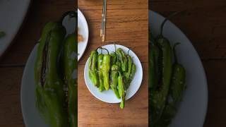 blistered shishito peppers 🌶 easyrecipes japanesefood indoorgardening [upl. by Dorsey]