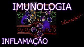 Aula Imunologia  Inflamação  Imunologia 2 [upl. by Ael332]