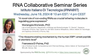 RNA Collaborative Seminar  RNA Initiative at the Italian Institute of Technology June 19 2024 [upl. by Kentigera]