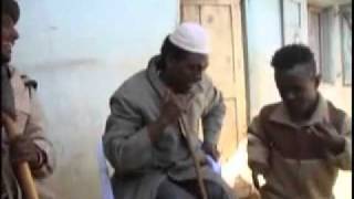 New Eritrea Comedy 2022 by Hagos Waldgebiet Meaar [upl. by Freida]