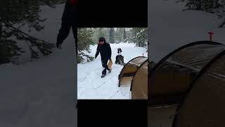 Camping in Snowfall P1 viral camping campinglife glamping tent [upl. by Kirsti493]