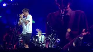 RHCP  Dark Necessities  Adelaide AUS 2019 Great Solo [upl. by Ania]