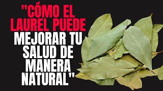 quotBeneficios del Laurel La Planta Milagrosa que Mejora Tu Saludquot [upl. by Yrad]