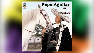 Cantandole al Cielo  Pepe Aguilar  del Álbum Con Tambora Volumen II [upl. by Atselec415]