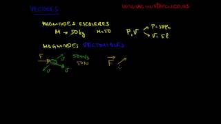 MAGNITUDES ESCALARES Y VECTORIALES [upl. by Davis]