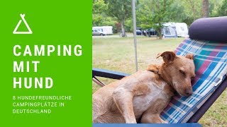 Camping mit Hund – 8 hundefreundliche Campingplätze in Deutschland [upl. by Berkin]