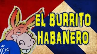 El Burrito Habanero Restaurant in Havana [upl. by Dinerman]