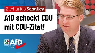 AfD schockt CDU mit CDUZitat – Zacharias Schalley AfD [upl. by Atibat]