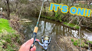 This Ultralight Lure Gets ALL The FISH [upl. by Josefina880]