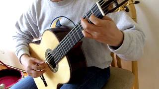 Matteo Carcassi 25 Estudios Op60 No19 in E Minor [upl. by Schertz987]