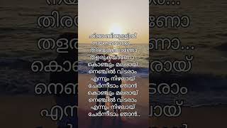 Sajeer koppam song [upl. by Leuqim]