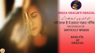 Mirza Ghalib  Teri Taraf Hai Yeh Hasrat NazaraeNargis  Mushkil Alfaz Aur Ghazal Ka Matlab [upl. by Adnawaj]