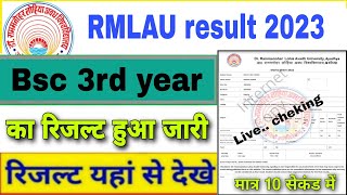 rmlau bsc 3rd year result 2023  rmlau result 2023  bsc 3rd year result 2023 awadh University  Bsc [upl. by Eeldarb]