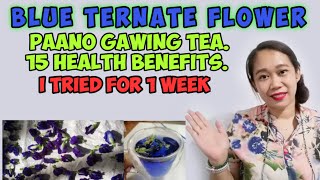 BLUE TERNATE FLOWER PAANO GAWING TEA 15 HEALTH BENEFITS [upl. by Dickens]