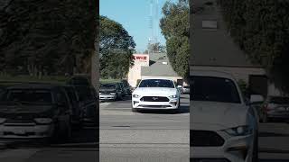 mustangs great sounds OC extravaganzal car show ep 10 [upl. by Arundel]