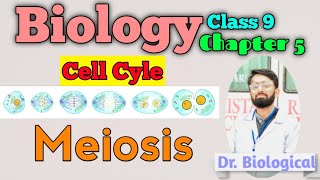 Biology Chapter 5  Meiosis  Crossing Over  Chiasmata  Tetrad  Class 9 Biology [upl. by Kral797]