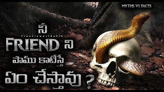 how to survive snake bite and myths and facts fractix world in telugu [upl. by Alisia]