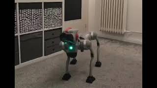 Quadruped Robot Dog Unitree Go2  Sparky tells a German joke [upl. by Annauj505]