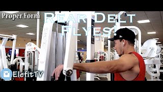 How To Properly Target Rear Delts On Reverse Fly Machine [upl. by Sweet]