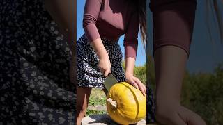 Harvesting pumpkins in the countryside☀️ cooking villagecooking food [upl. by Drescher]