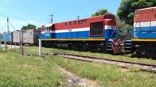 TREN CARGADO DE FERROSUR ROCA PASA POR LA ESTACIÓN LA BANDA CON DESTINO HACIA CEVIL POZO TUCUMÁN [upl. by Grayson166]