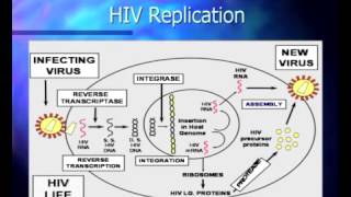 Basic Course in HIV  Pathophysiology and Natural History of HIV Infection [upl. by Aneekas]