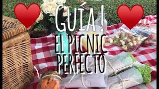 GUÍAEL PICNIC PERFECTO [upl. by Ainesey]