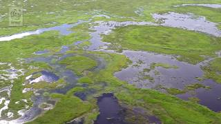 Honghe Nature Reserve China [upl. by Ecirtaeb]