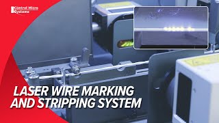 Laser Wire Marking and Stripping System  HighSpeed OntheFly [upl. by Aicitan]