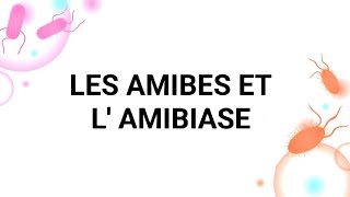 PARASITOMYCOLOGIE🦟🧫 AMIBES ET L AMIBIASE 🦠🤢 3ÈME MÉD🩺 4ÈME PHARMA💊 [upl. by Fawna]