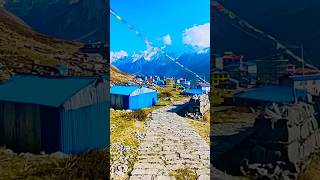 Langtang trek October 19 2024 ytshorts youtubeshorts shorts [upl. by Nonnairb]