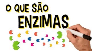 ✅ O QUE SÃO ENZIMAS [upl. by Aniara]