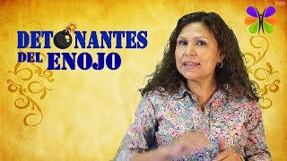 Detonantes del Enojo  Salud Mental [upl. by Knitter]